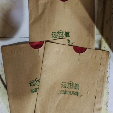 双层苹果袋，富士苹果袋，寒富苹果袋，每袋5000个，