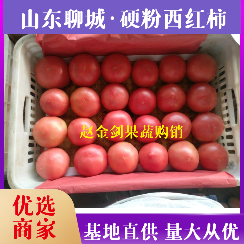 精品硬粉西红柿弧三以上产地批发代发全国价格合理