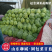 圆包菜甘蓝1/1公斤，产地直发可对接商超专业代收