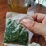 养肝茶茶包(相思腾茶)