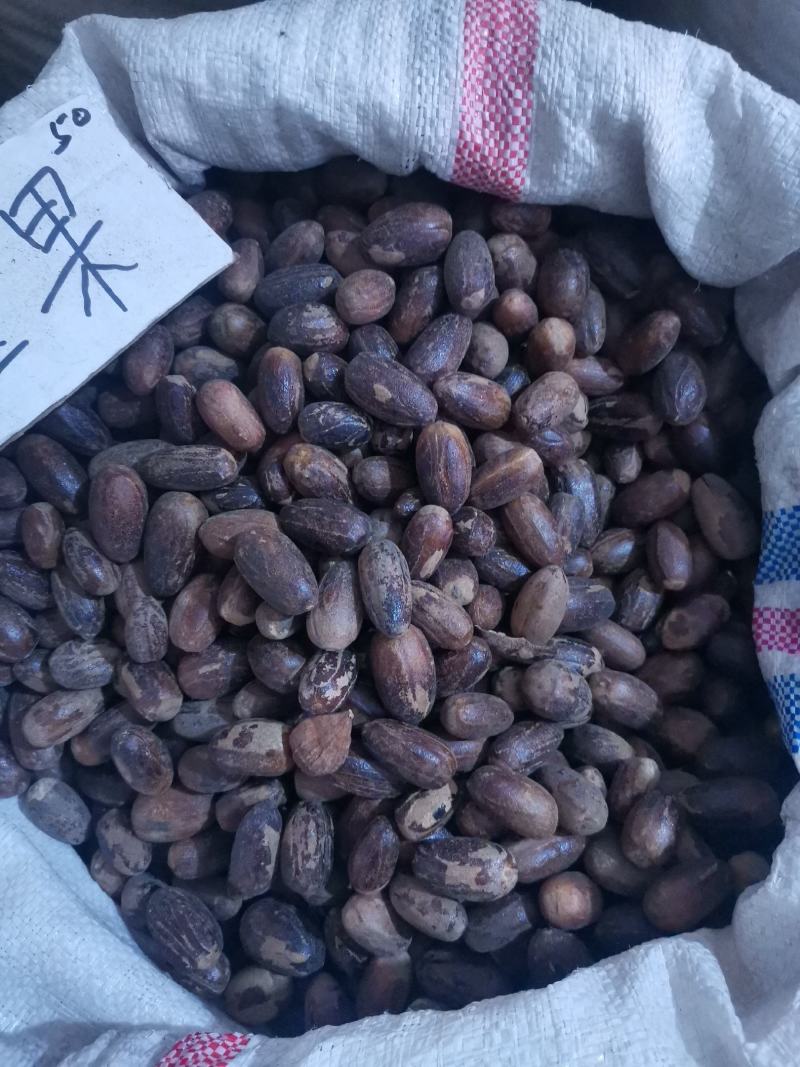 长香果香料量大从优欢迎选购