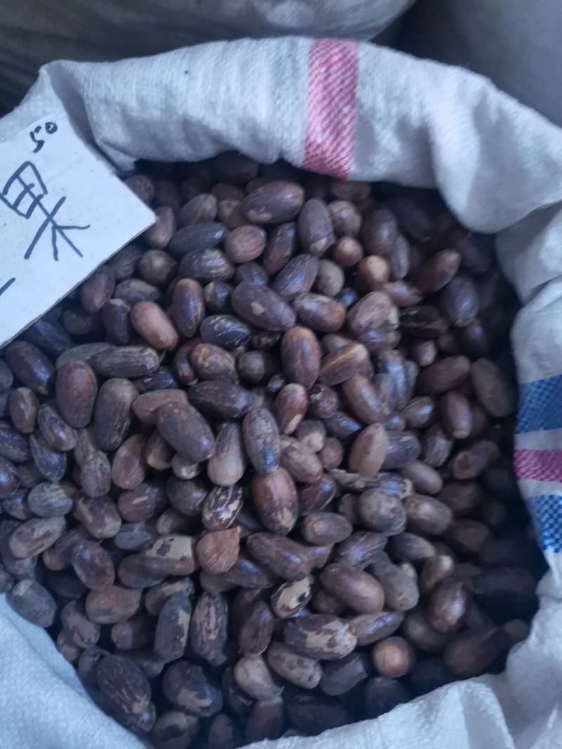 长香果香料量大从优欢迎选购