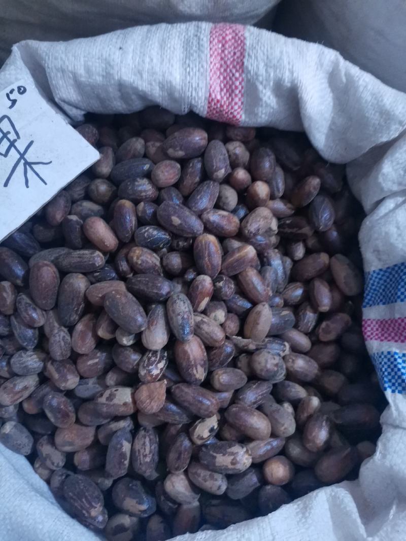 长香果香料量大从优欢迎选购