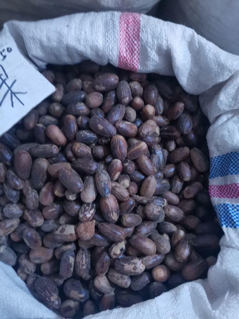 长香果香料量大从优欢迎选购