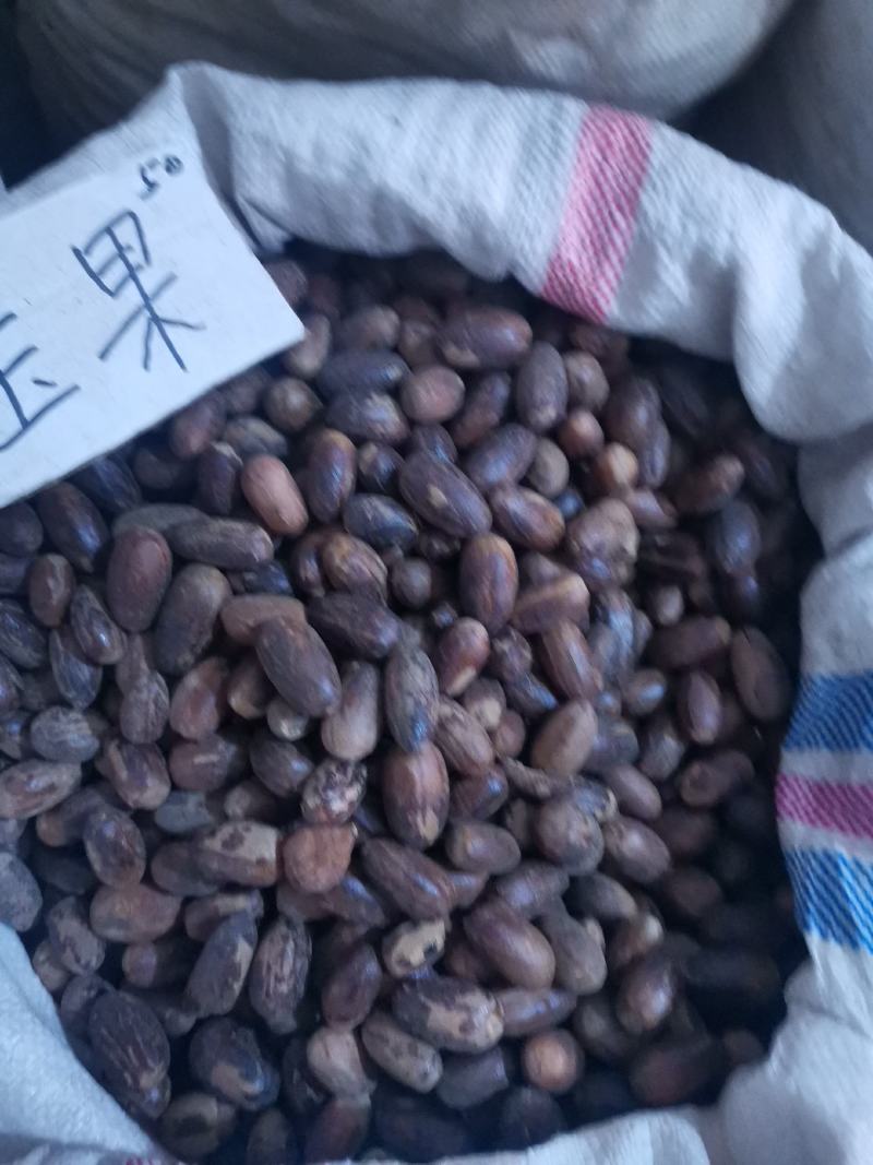 长香果香料量大从优欢迎选购