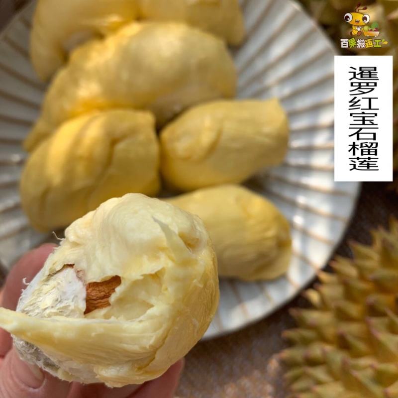 泰国红宝石榴莲，稀有品种，顺丰包邮到家！