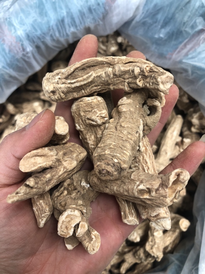 当归片，当归头，当归须根，一手货源，价格便宜