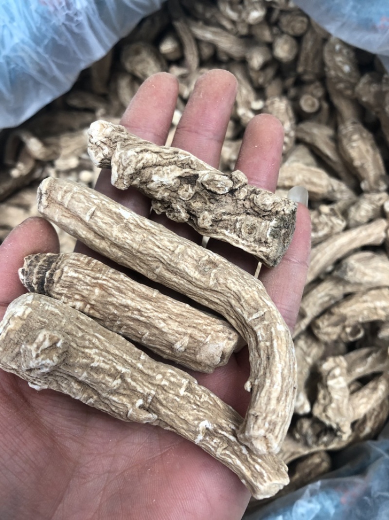 当归片，当归头，当归须根，一手货源，价格便宜