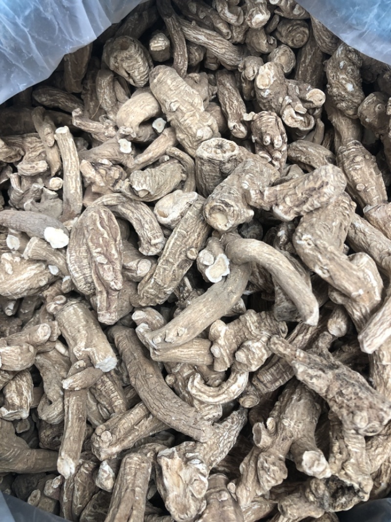 当归片，当归头，当归须根，一手货源，价格便宜