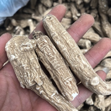 当归片，当归头，当归须根，一手货源，价格便宜