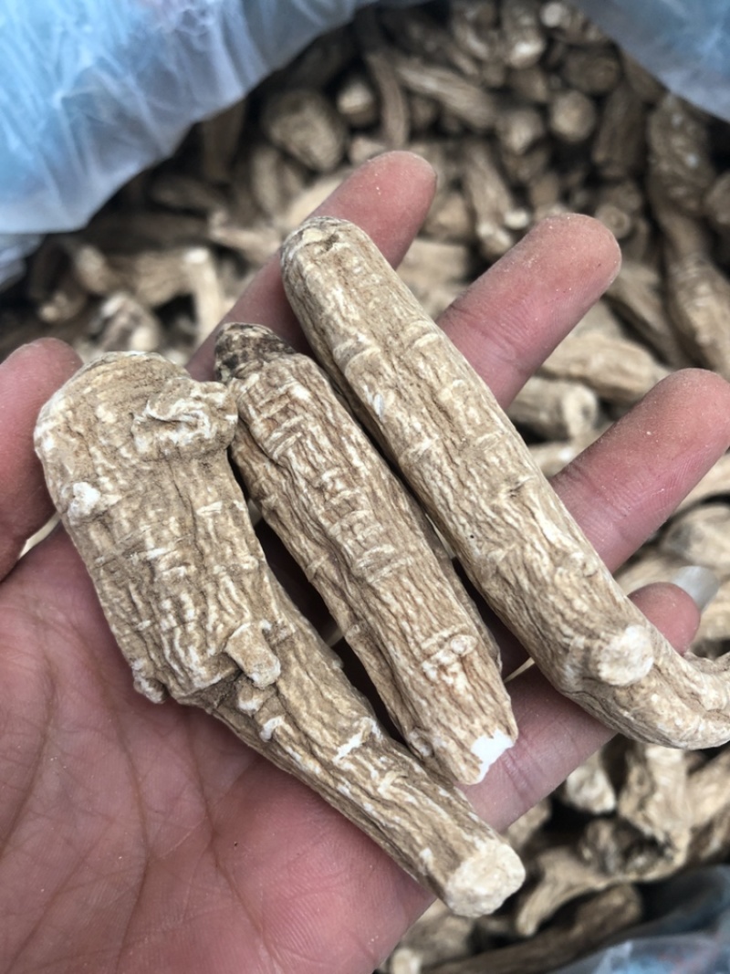 当归片，当归头，当归须根，一手货源，价格便宜
