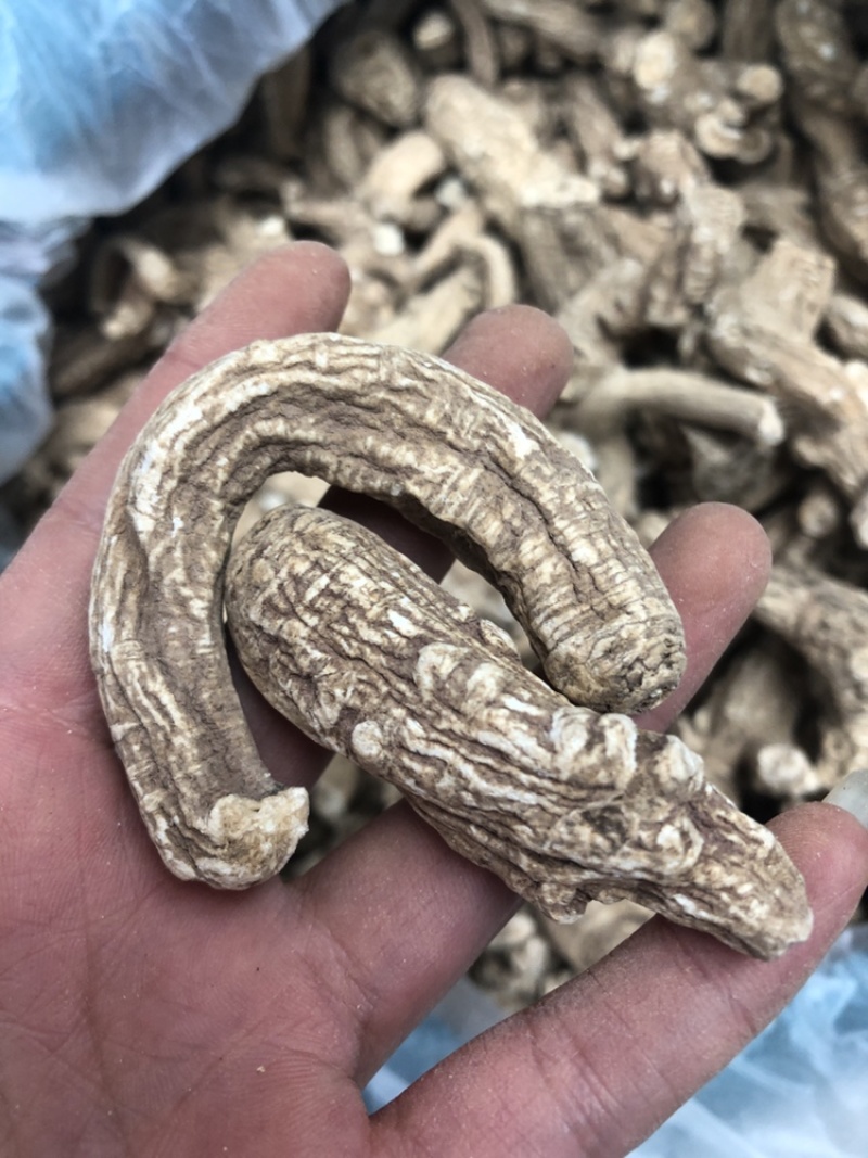 当归片，当归头，当归须根，一手货源，价格便宜