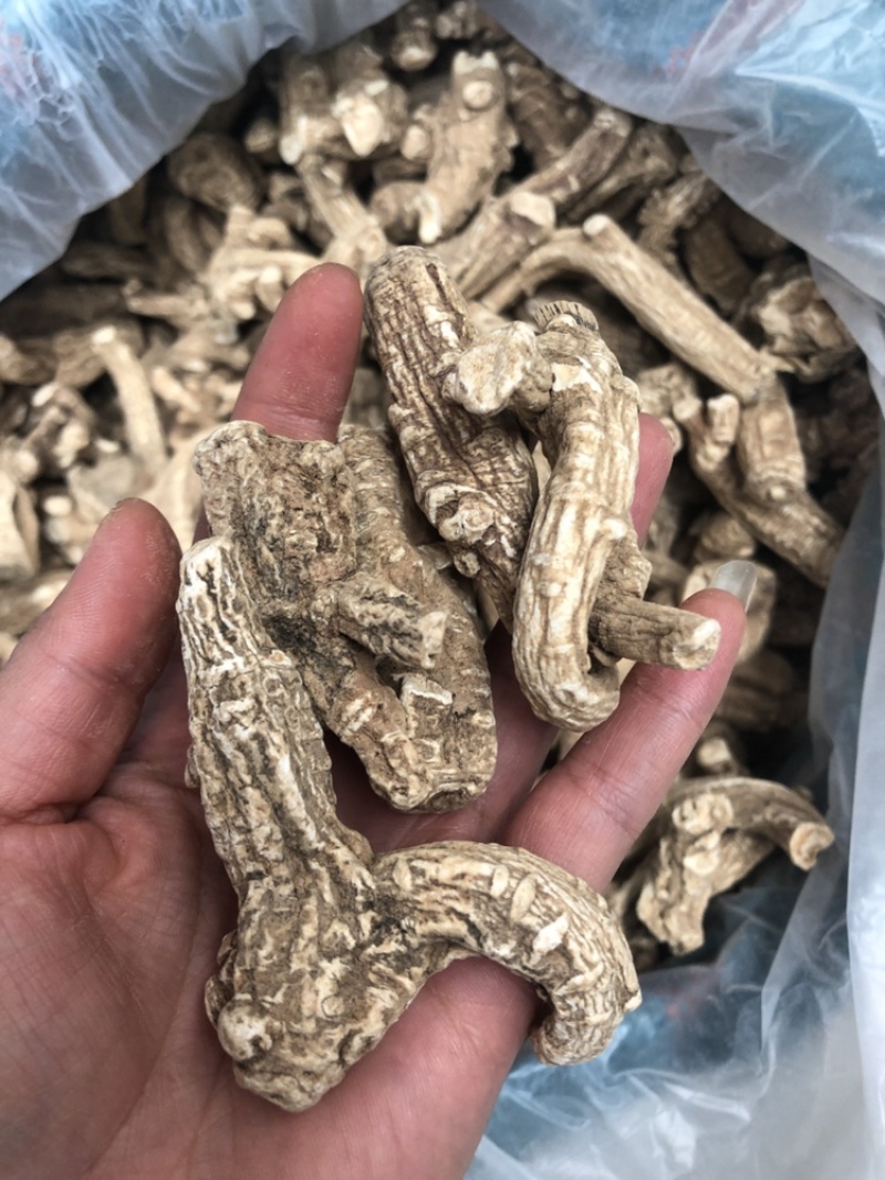 当归片，当归头，当归须根，一手货源，价格便宜