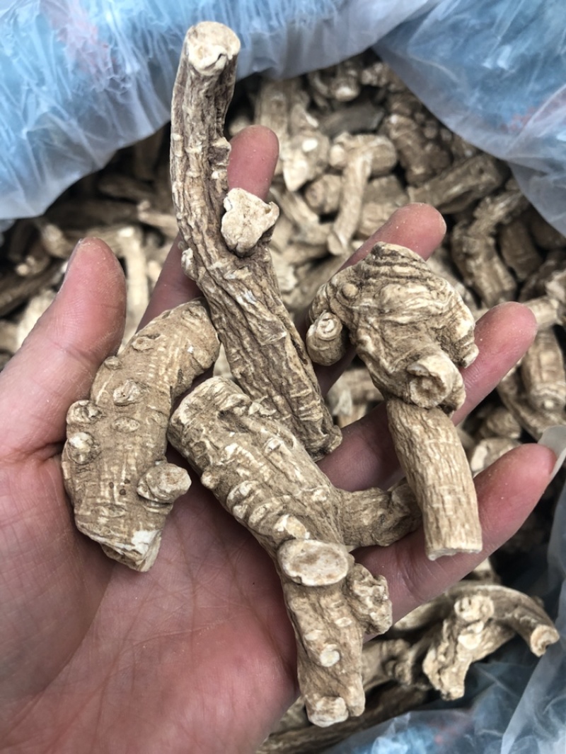 当归片，当归头，当归须根，一手货源，价格便宜