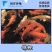 锦鲤鱼纯种精品锦鲤小鱼苗