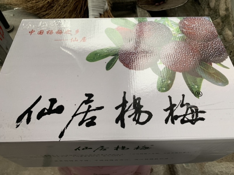 正宗浙江仙居东魁杨梅新鲜大杨梅礼盒批发代发团购