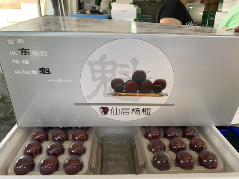 正宗浙江仙居东魁杨梅新鲜大杨梅礼盒批发代发团购