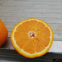 【牛商推荐】脐橙纯甜味道好水份好商超品质可实地考察