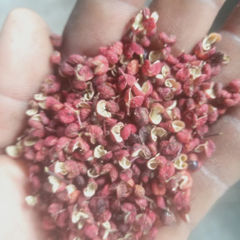 花椒陕西大红袍花椒韩城花椒干花椒颗粒