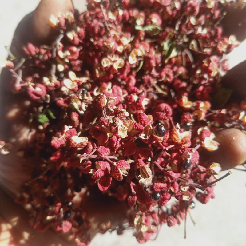 花椒陕西大红袍花椒韩城花椒干花椒颗粒