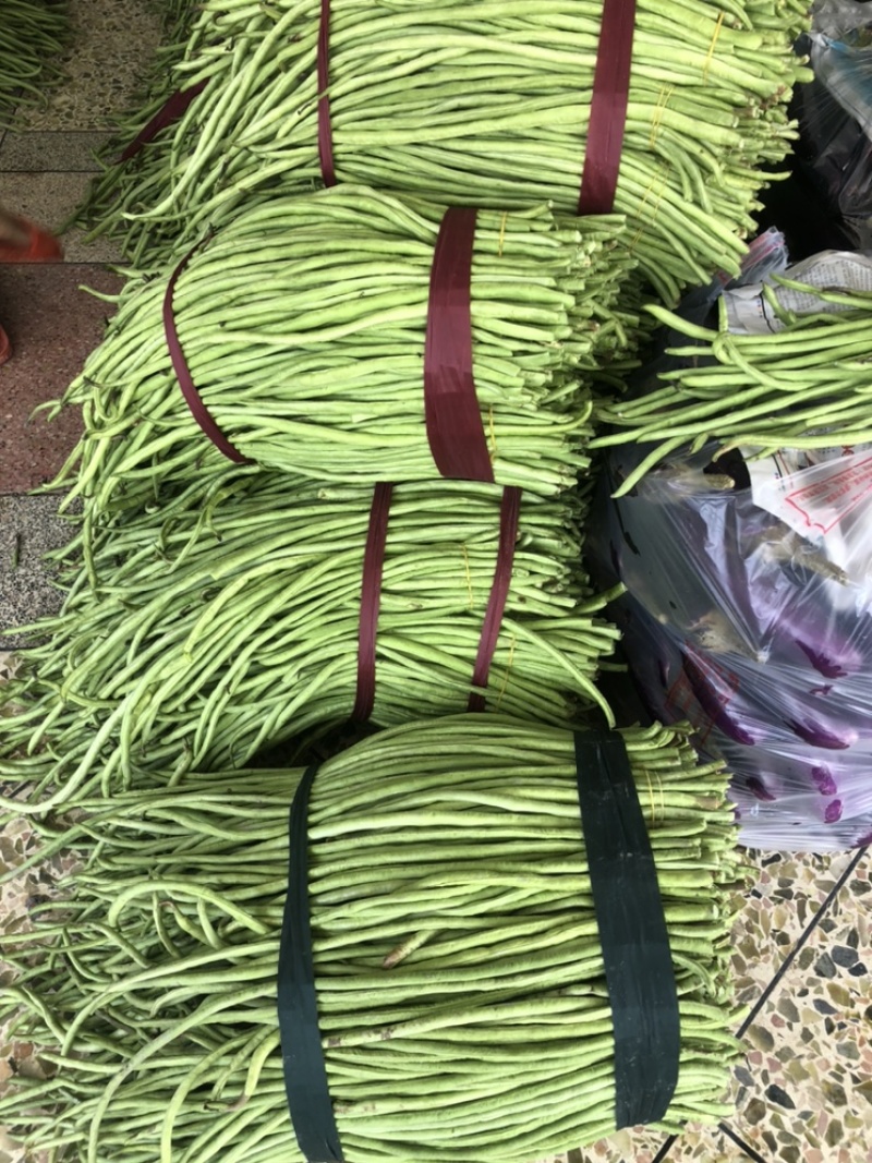 优质长豆角大量供应平台，商超，酸豆角工厂货大量供应
