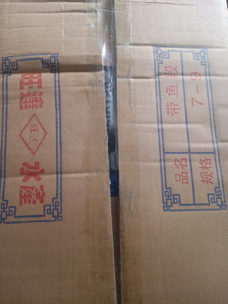 福建7/9带鱼段便宜，电商，自己工厂加工，保质保量可视频看货