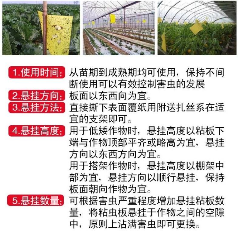 大棚果园花园专用黄板粘虫板双面特粘粘虫板诱虫板灭小飞虫