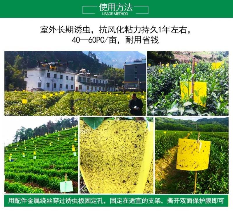 大棚果园花园专用黄板粘虫板双面特粘粘虫板诱虫板灭小飞虫