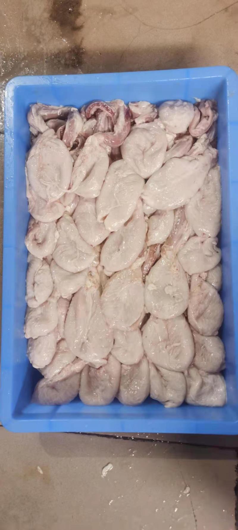 新鲜猪小肚，每天三四十个