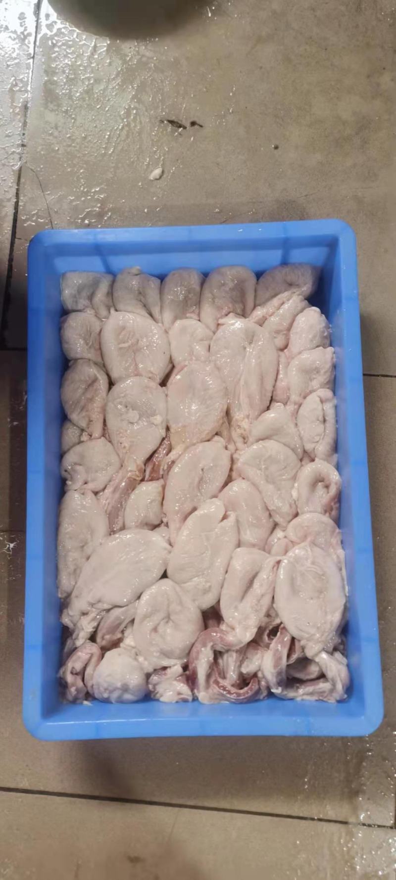新鲜猪小肚，每天三四十个