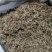 垂盆草中药材批发石指草冷背药材批发代打粉