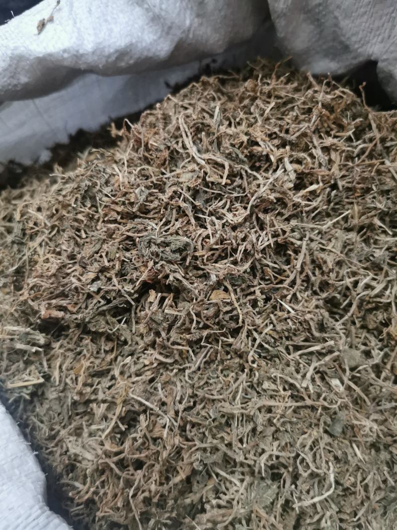 垂盆草中药材批发石指草冷背药材批发代打粉