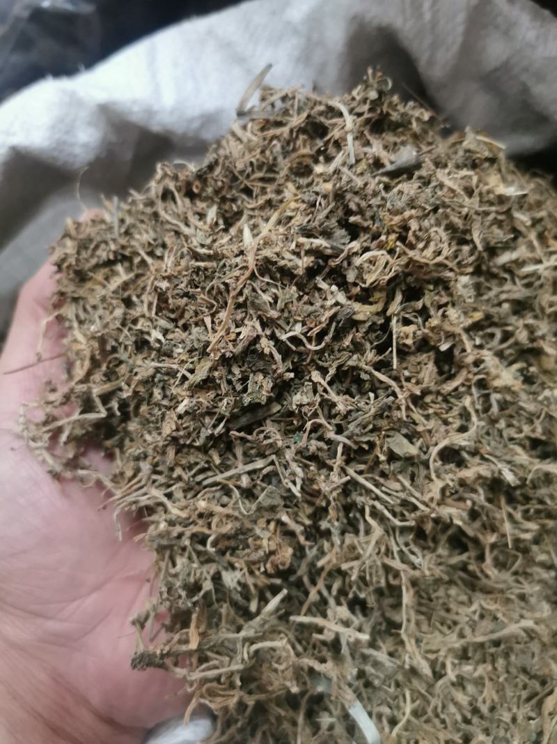 垂盆草中药材批发石指草冷背药材批发代打粉