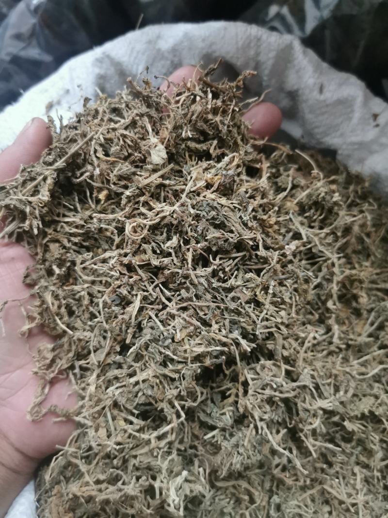 垂盆草中药材批发石指草冷背药材批发代打粉