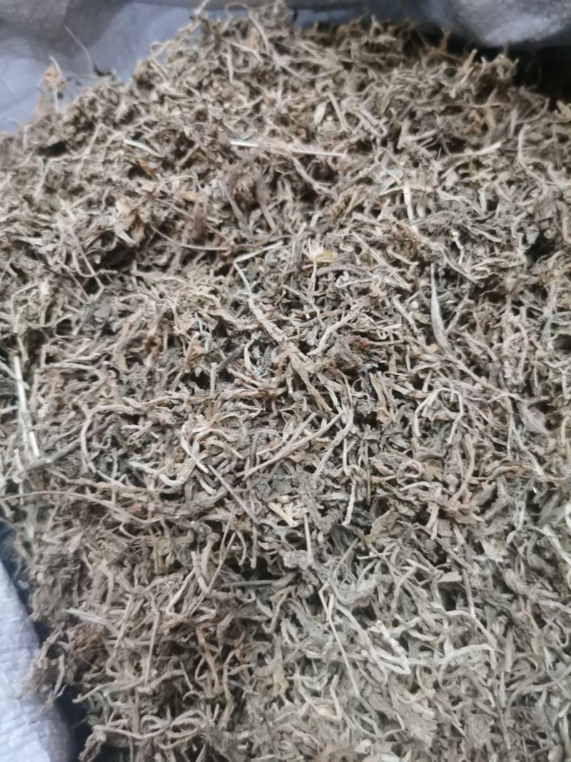 垂盆草中药材批发石指草冷背药材批发代打粉