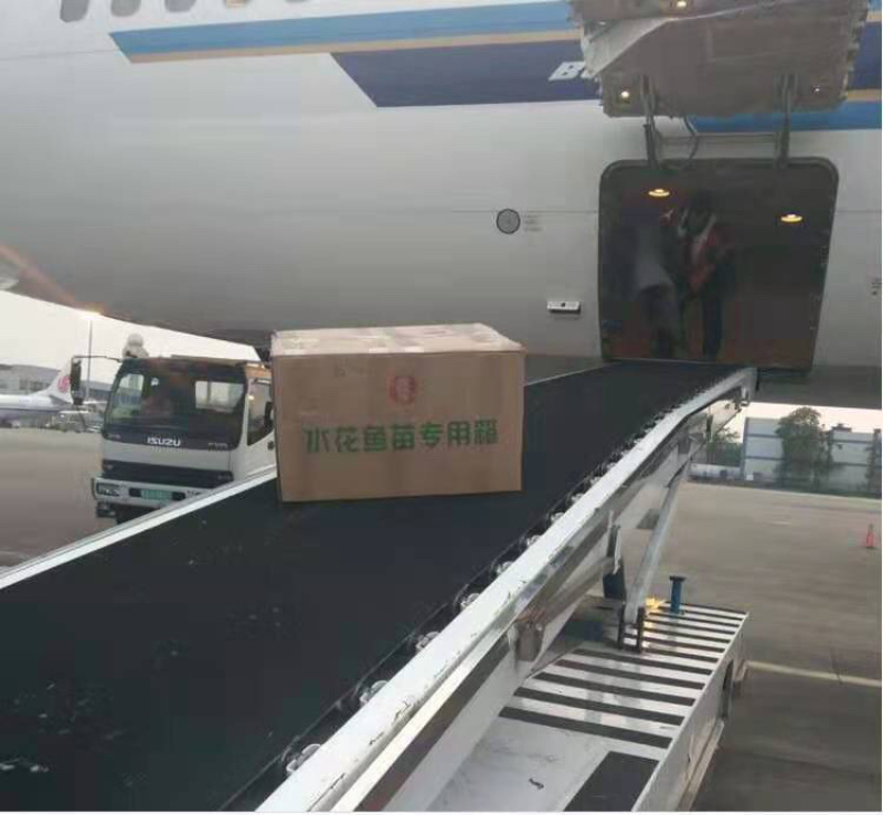 黑鱼又名乌鱼生鱼财鱼蛇鱼火头鱼繁殖力强胃口大