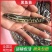 黑鱼又名乌鱼生鱼财鱼蛇鱼火头鱼繁殖力强胃口大