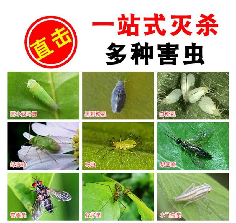 大棚果园花园专用黄板粘虫板双面特粘粘虫板诱虫板灭小飞虫