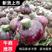 【紫皮洋葱】精品紫皮洋葱二红洋葱基地直销全国发货