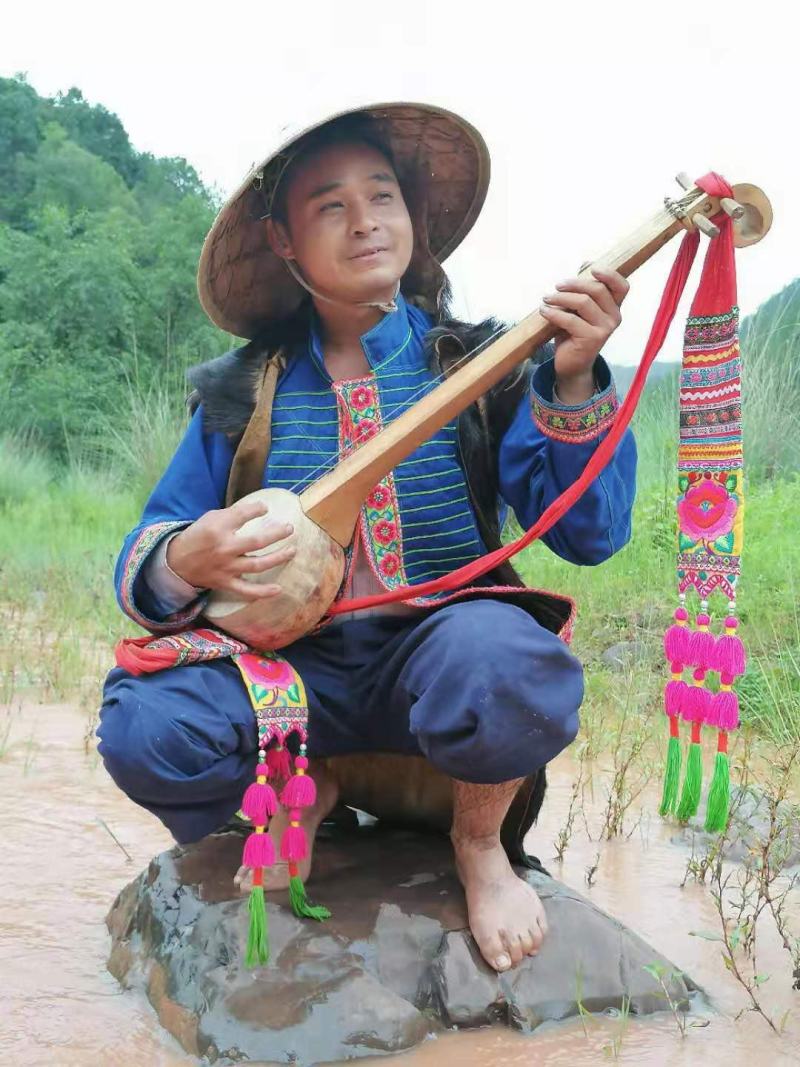 【有好货】云南松茸，顺丰空运包邮，可代发
