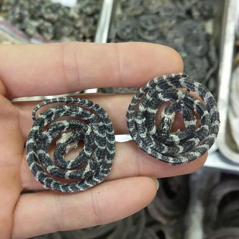 白花蛇中药材金钱白花蛇赤练蛇蛇干小花蛇包邮