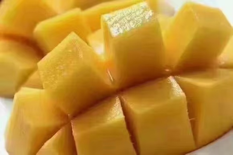 正宗缅甸进口套代圣德龙精品货