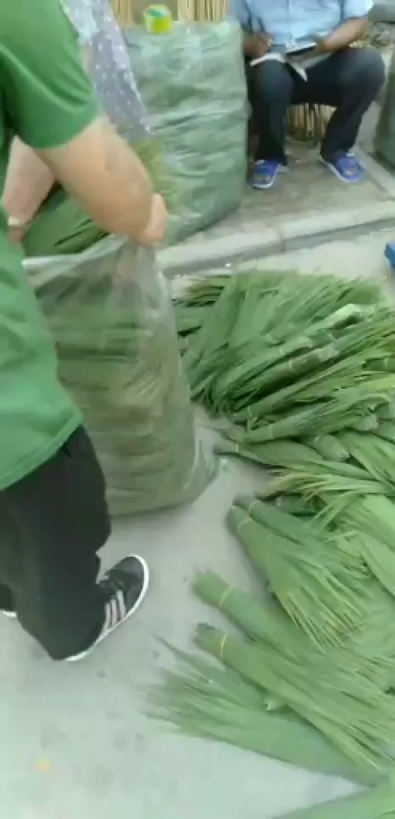 白洋淀苇叶