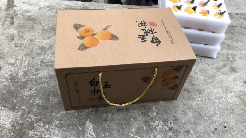 自产自销东山白玉枇杷