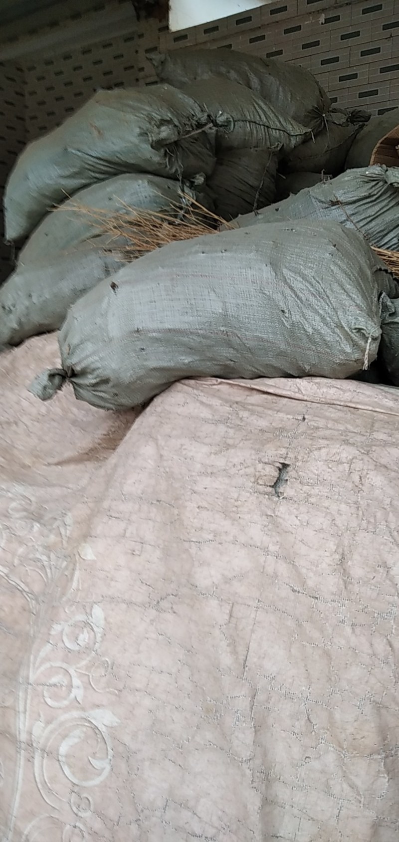 【热销】大叶艾野生艾叶大别山野生艾叶无杆无黄叶纯手工采摘