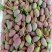 精品头茬小台农芒果芒果热带露天种植大量供应