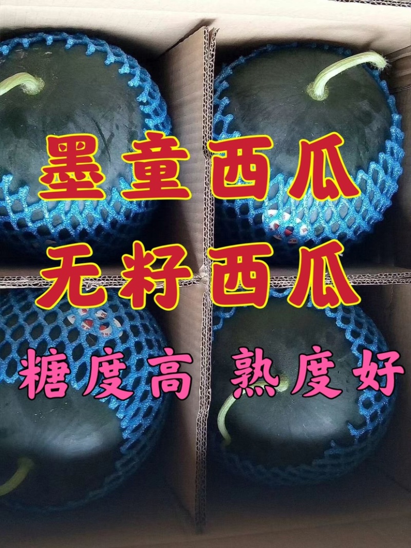 墨童西瓜，无籽西瓜，山东西瓜，皮薄糖度高，西瓜