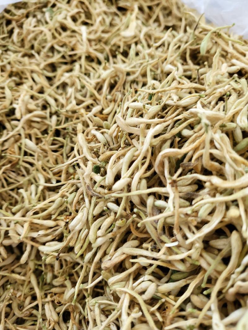 金银花山东临沂产地供应厂家直销现货绒毛