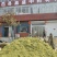 金银花山东临沂产地供应厂家直销现货绒毛
