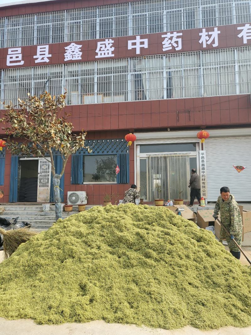 金银花山东临沂产地供应厂家直销现货绒毛